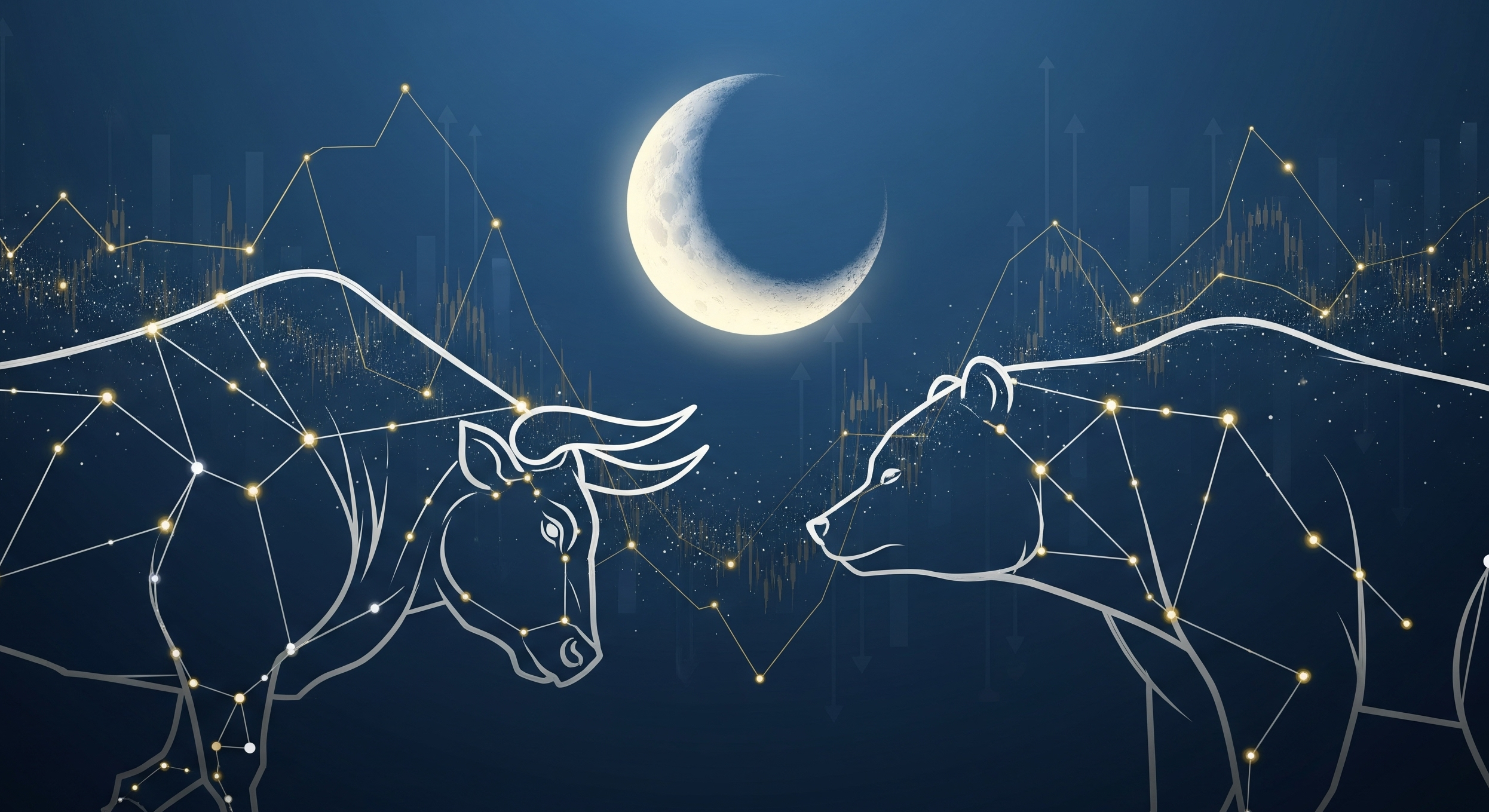 株アノマリー観測所